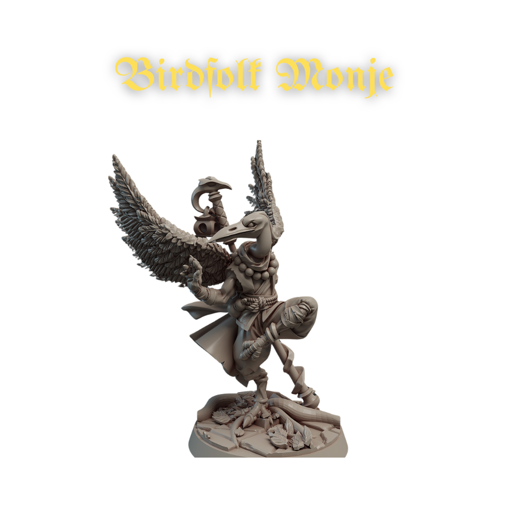 Acero & Arcana: Birdfolk Monk