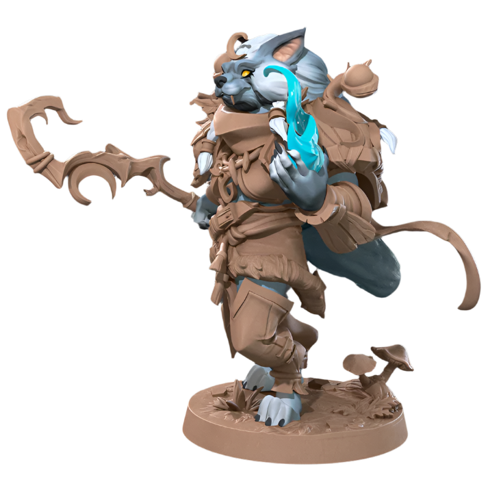 Acero & Arcana: Worgen Druida