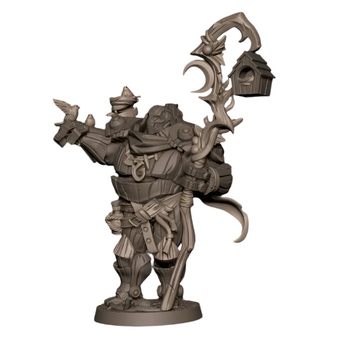 Acero & Arcana: Warforged Druida