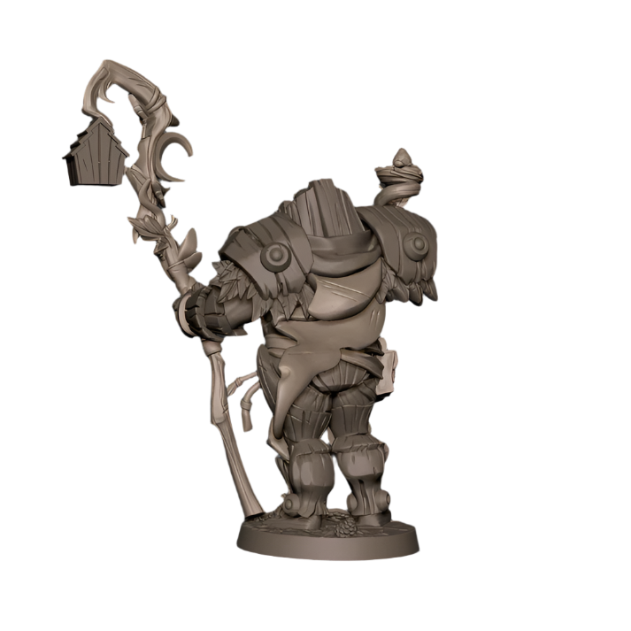 Acero & Arcana: Warforged Druida