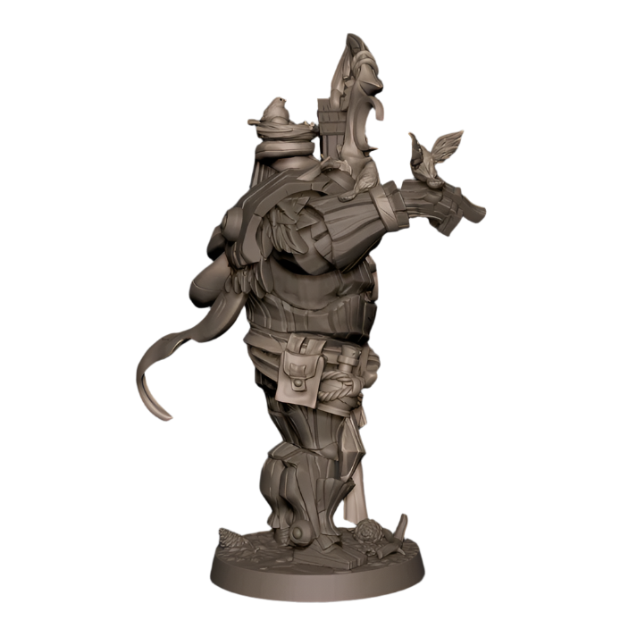 Acero & Arcana: Warforged Druida