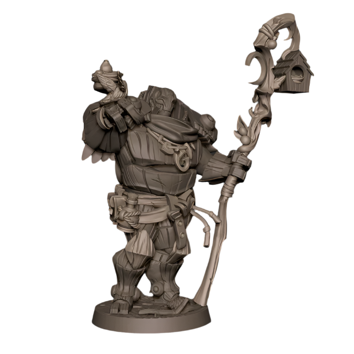 Acero & Arcana: Warforged Druida