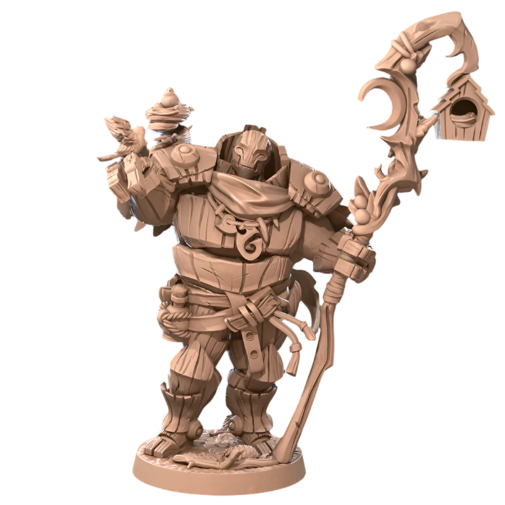 Acero & Arcana: Warforged Druida