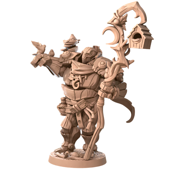 Acero & Arcana: Warforged Druida