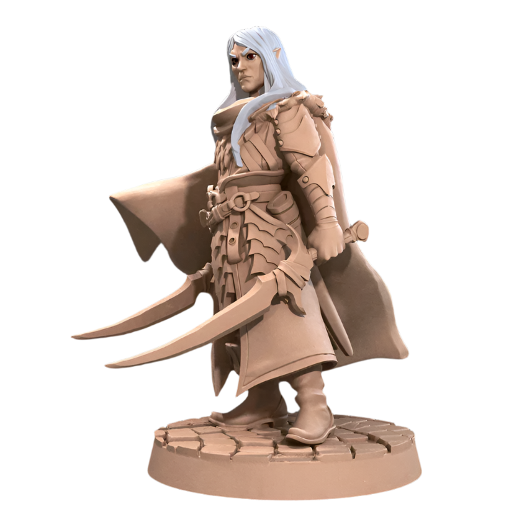 Acero & Arcana: Drow Guardabosque