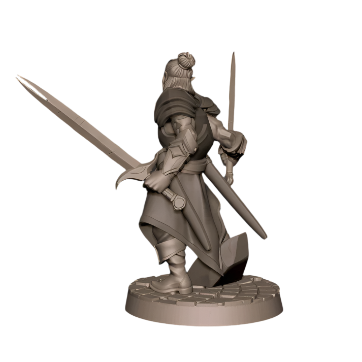 Acero & Arcana: Drow Maestro de Armas