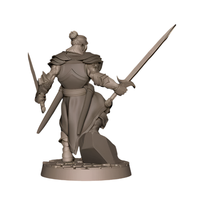Acero & Arcana: Drow Maestro de Armas