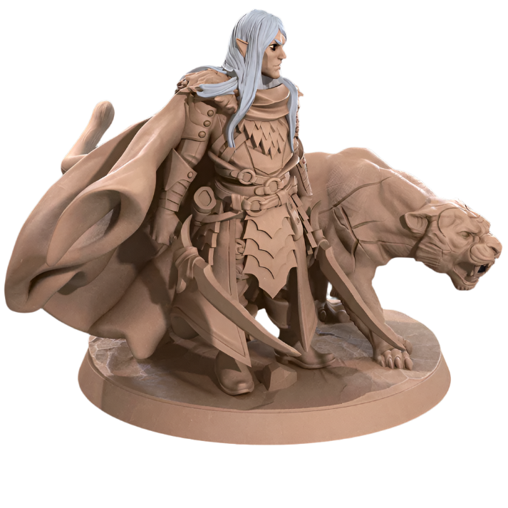 Acero & Arcana: Drow Guardabosque