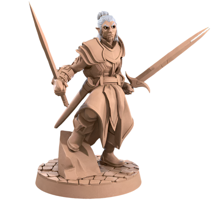 Acero & Arcana: Drow Maestro de Armas