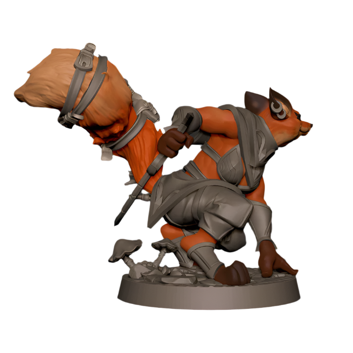 Acero & Arcana: Foxfolk Pícara