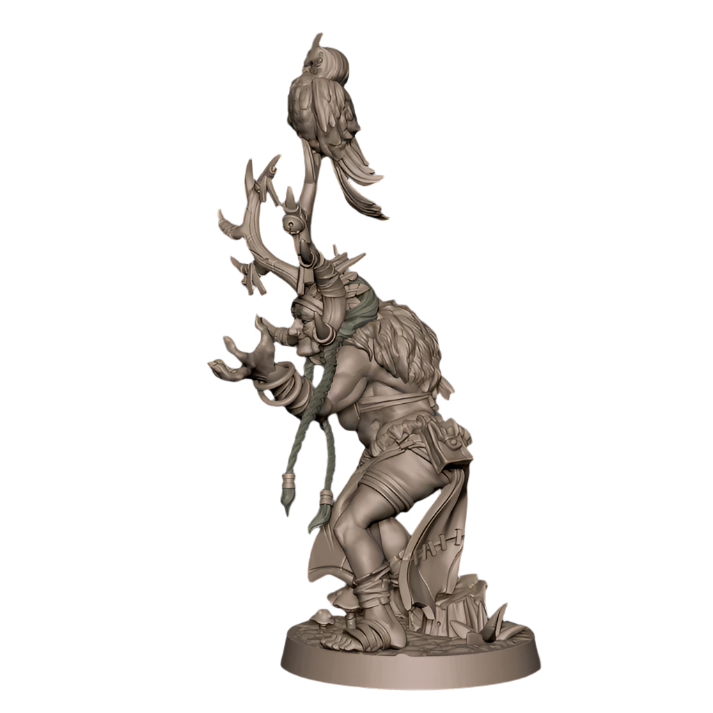Acero & Arcana: Agatha, la Anciana Amazona
