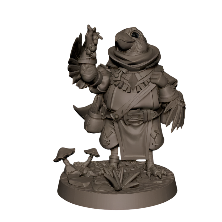 Acero & Arcana: Berry, el Kenku Forrajeador