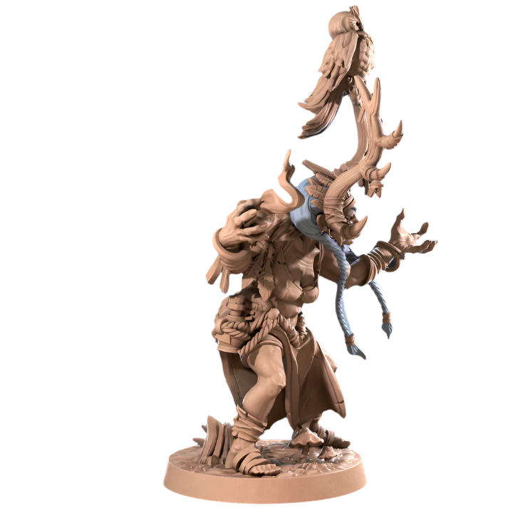 Acero & Arcana: Agatha, la Anciana Amazona