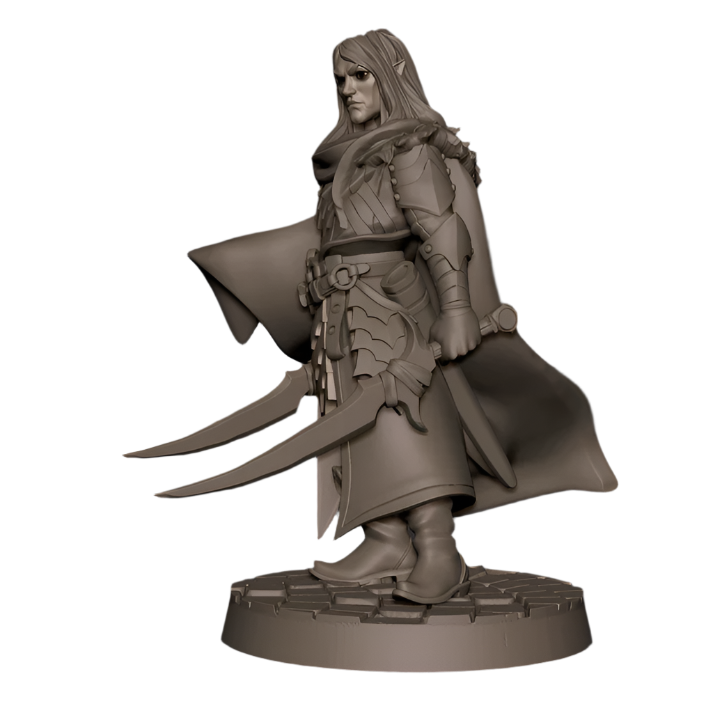 Acero & Arcana: Drow Guardabosque