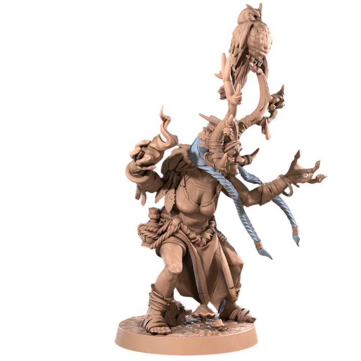 Acero & Arcana: Agatha, la Anciana Amazona
