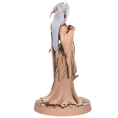 Acero & Arcana: Drow Matrona