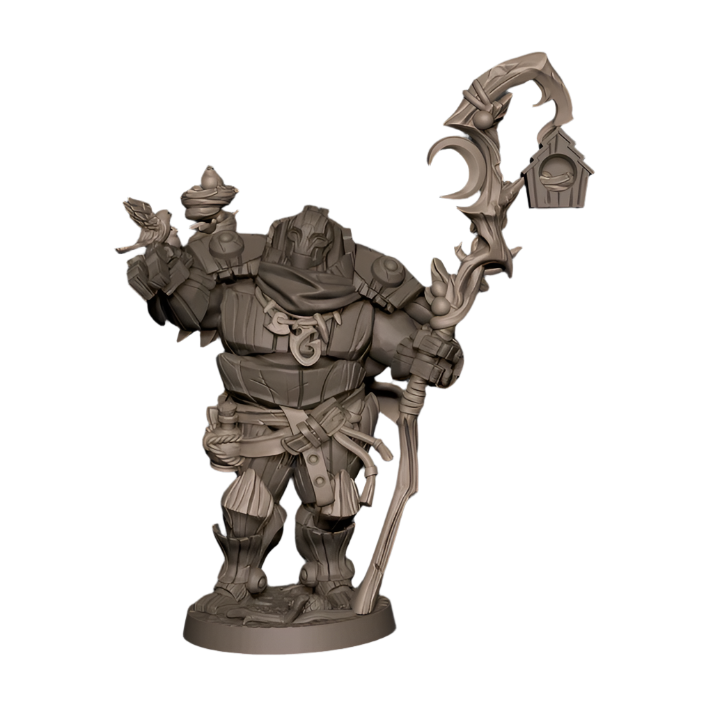 Acero & Arcana: Warforged Druida
