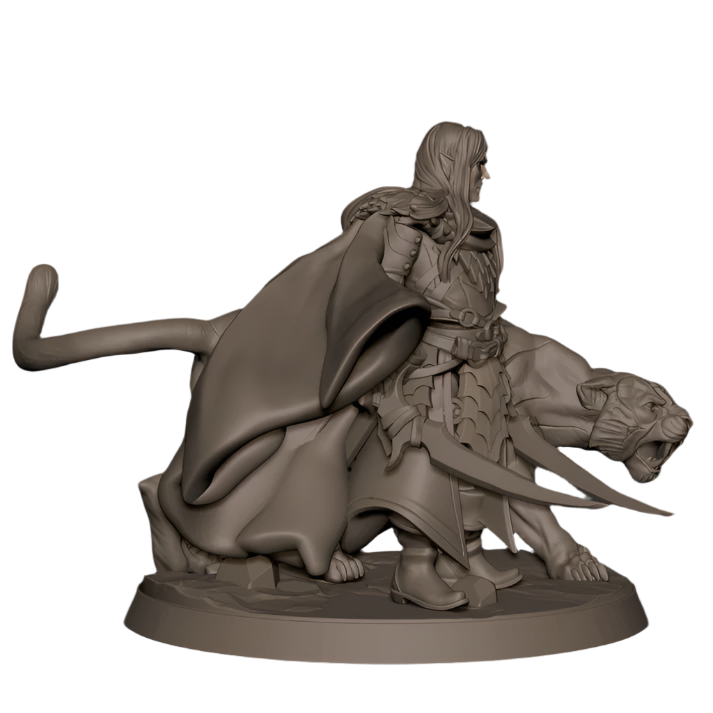 Acero & Arcana: Drow Guardabosque