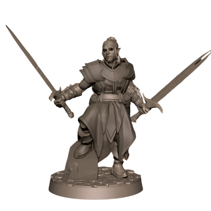 Acero & Arcana: Drow Maestro de Armas