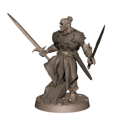 Acero & Arcana: Drow Maestro de Armas