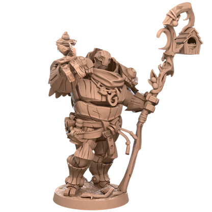 Acero & Arcana: Warforged Druida
