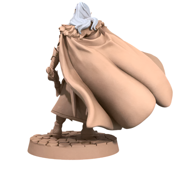 Acero & Arcana: Drow Guardabosque