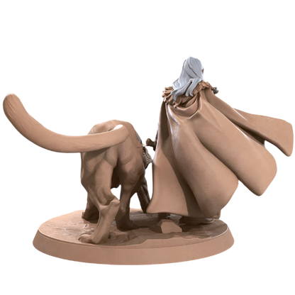Acero & Arcana: Drow Guardabosque