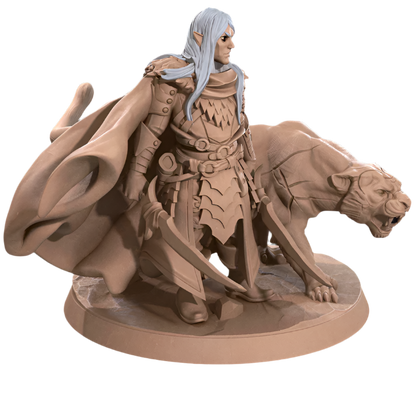 Acero & Arcana: Drow Guardabosque