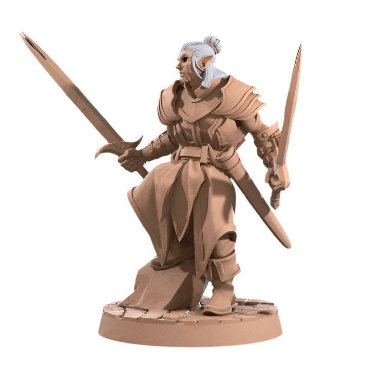 Acero & Arcana: Drow Maestro de Armas