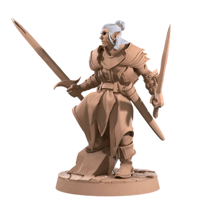 Acero & Arcana: Drow Maestro de Armas