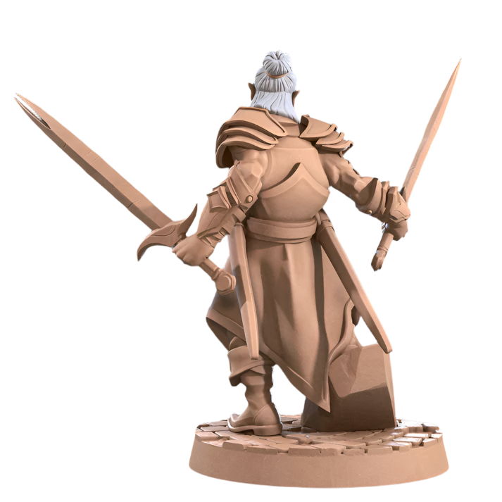 Acero & Arcana: Drow Maestro de Armas