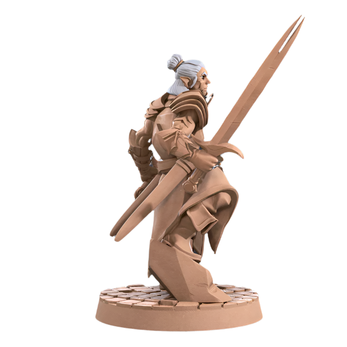 Acero & Arcana: Drow Maestro de Armas