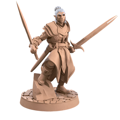 Acero & Arcana: Drow Maestro de Armas