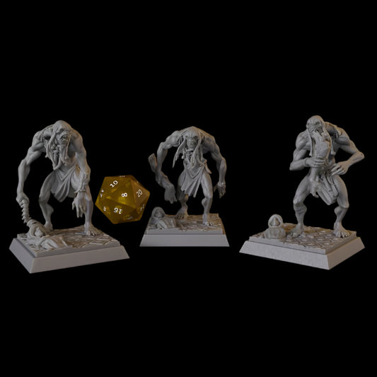 Monstruos & Mal: Ghuls Set