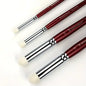 Set de Pinceles para Pincelado Seco